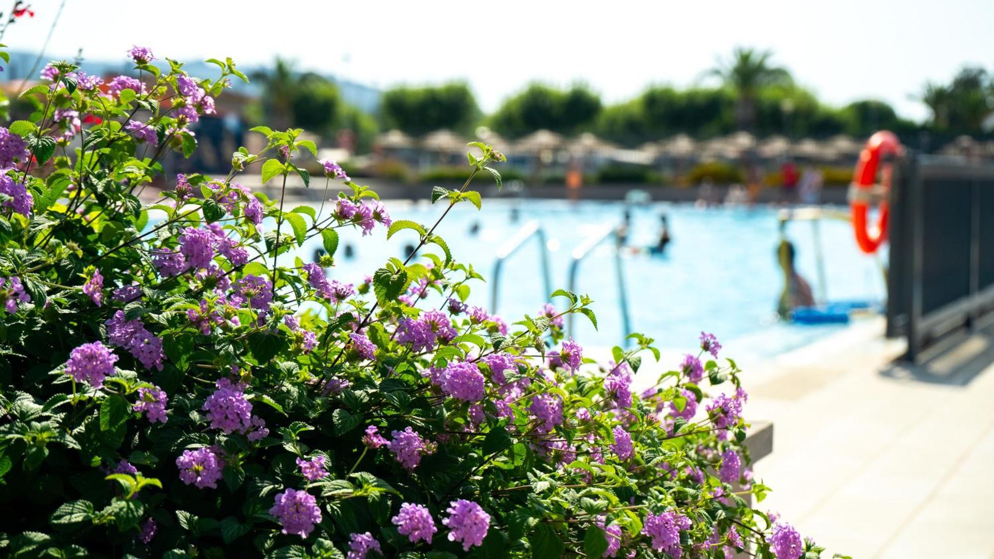 Camping Riembau Castell-Castell-Platja d'Aro Extérieur photo